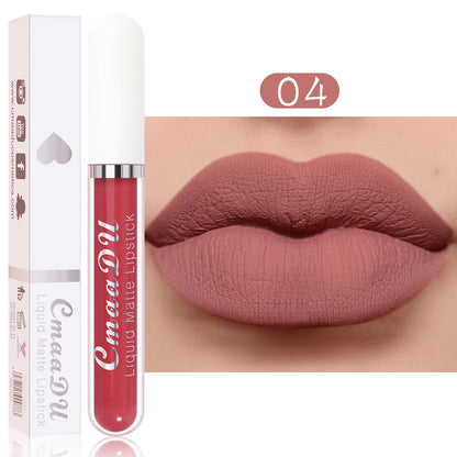 💝 10Pcs Matte Waterproof Lip Gloss Set ✨ Full Kit, All-Day Wear💄