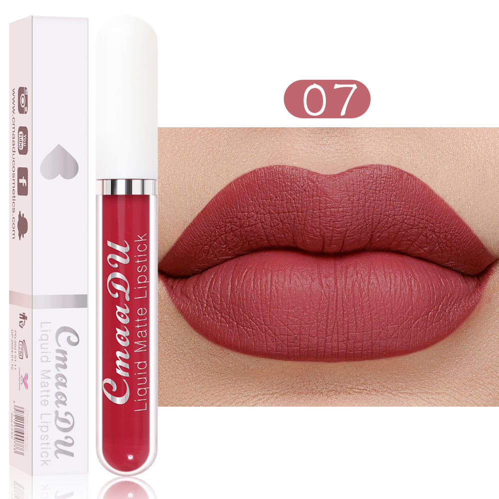💝 10Pcs Matte Waterproof Lip Gloss Set ✨ Full Kit, All-Day Wear💄