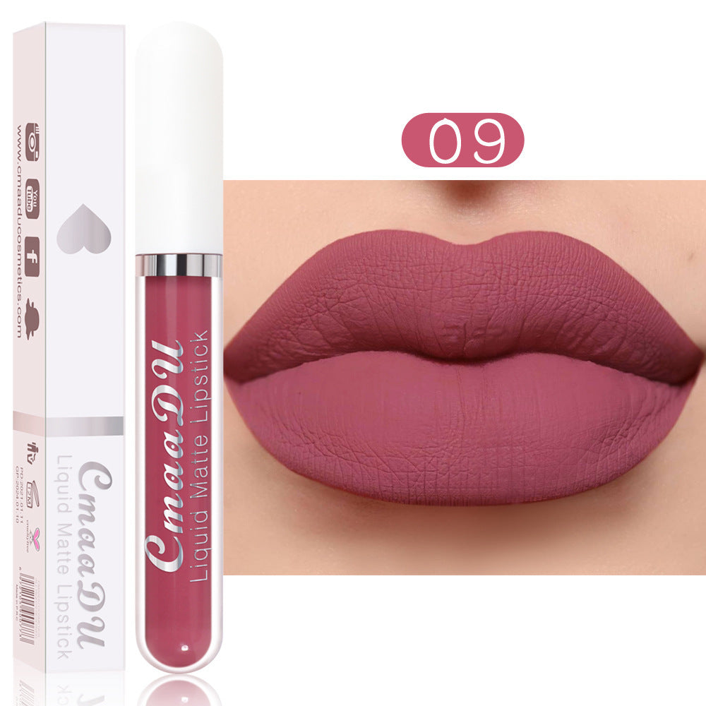 💝 10Pcs Matte Waterproof Lip Gloss Set ✨ Full Kit, All-Day Wear💄