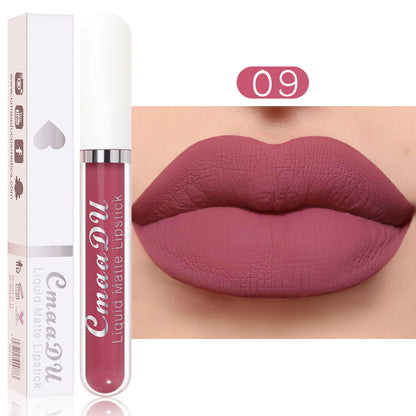 💝 10Pcs Matte Waterproof Lip Gloss Set ✨ Full Kit, All-Day Wear💄