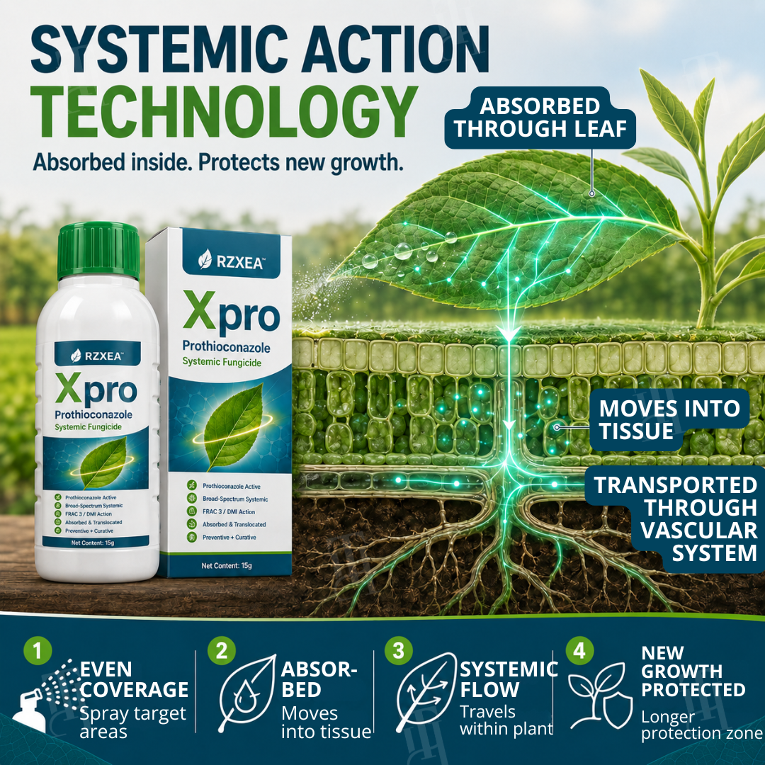 🌾RZXEA™  Xpro Prothioconazole Systemic Fungicide🛡️