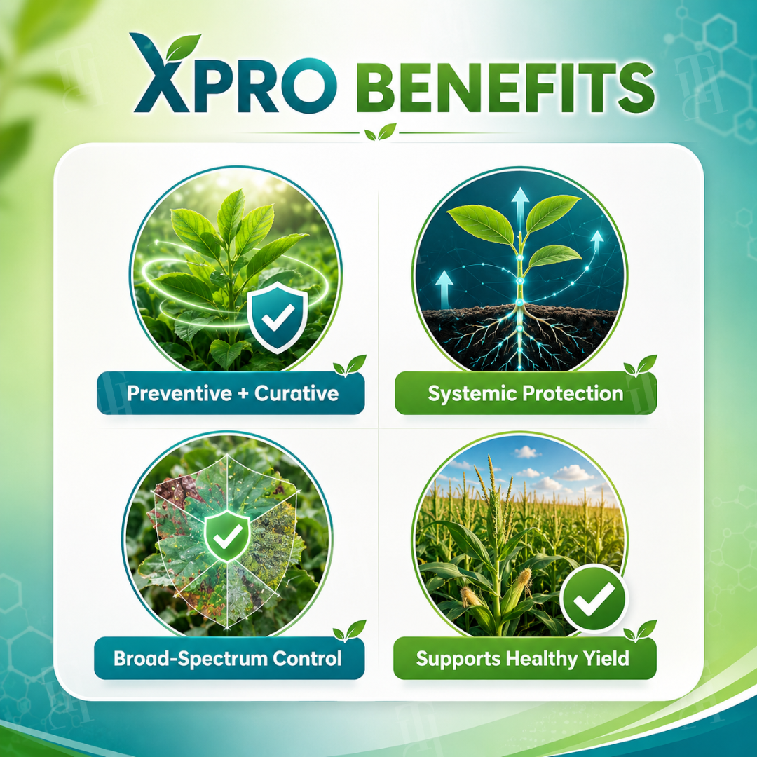 🌾RZXEA™  Xpro Prothioconazole Systemic Fungicide🛡️
