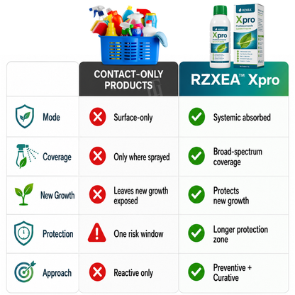 🌾RZXEA™  Xpro Prothioconazole Systemic Fungicide🛡️