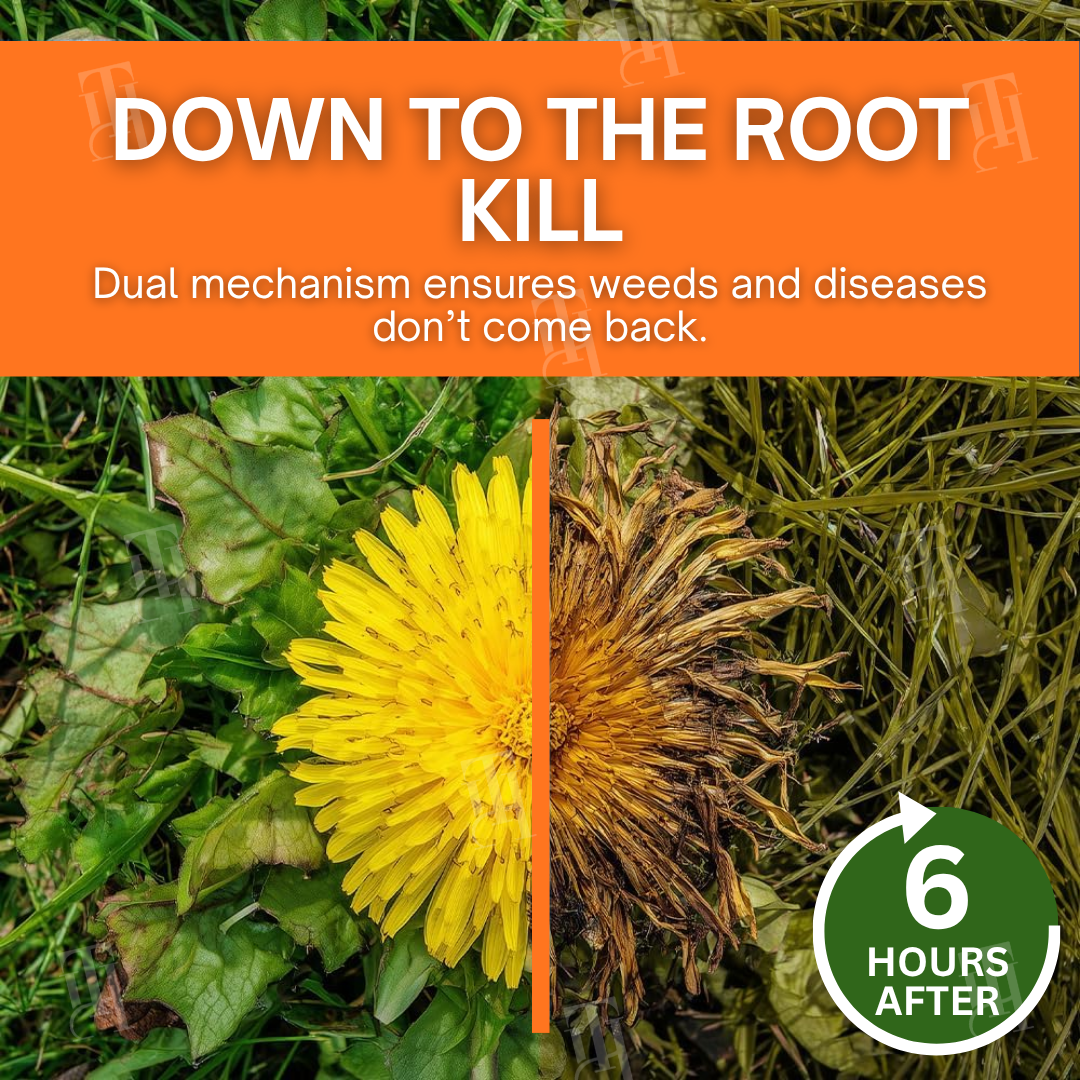 🏆AEXZR® 2-in-1 Max Power Herbicide-🌿Dual-Action Weed Killer in 6 Hours☠️