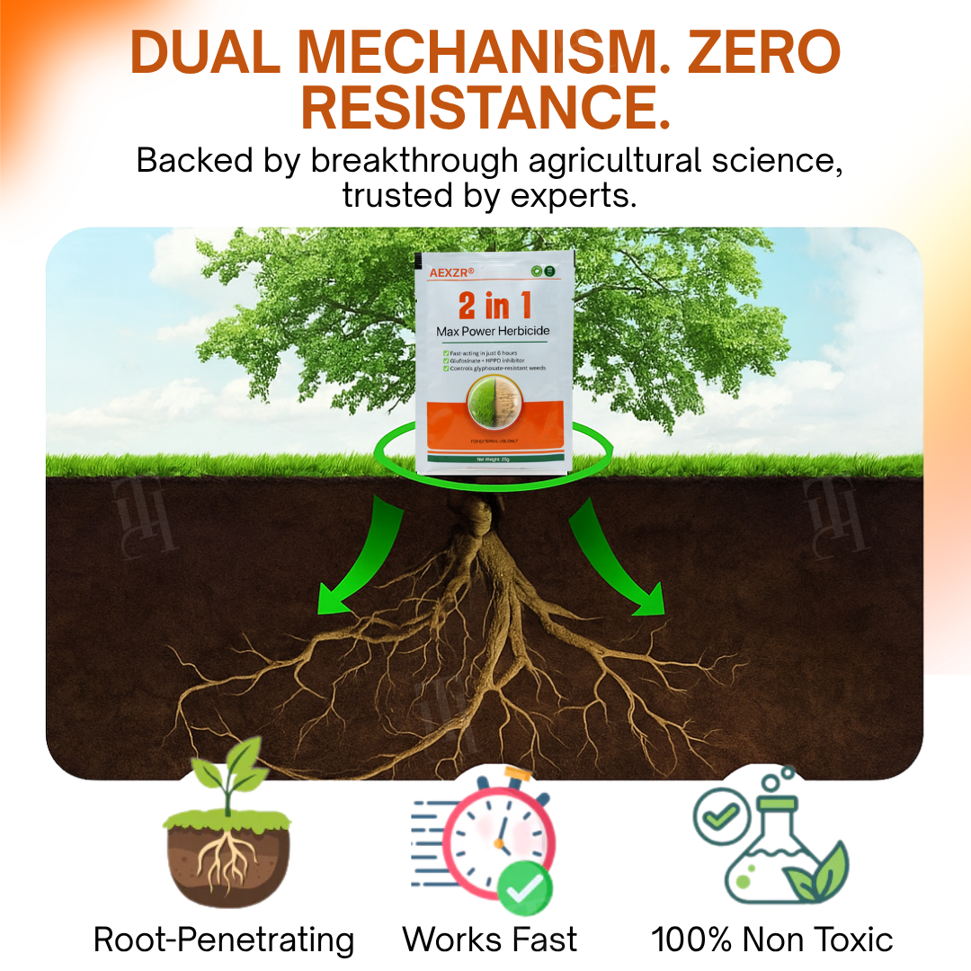 🏆AEXZR® 2-in-1 Max Power Herbicide-🌿Dual-Action Weed Killer in 6 Hours☠️