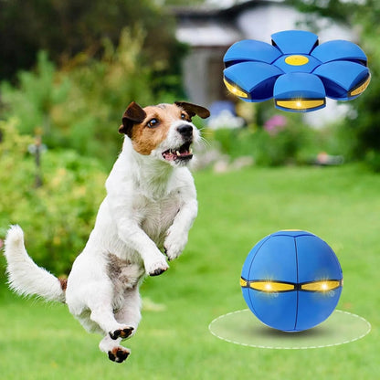 🏆Kids’ Magic Metaball — 🌈bouncy ball & flying saucer for family and pets🌈