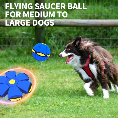 🏆Kids’ Magic Metaball — 🌈bouncy ball & flying saucer for family and pets🌈
